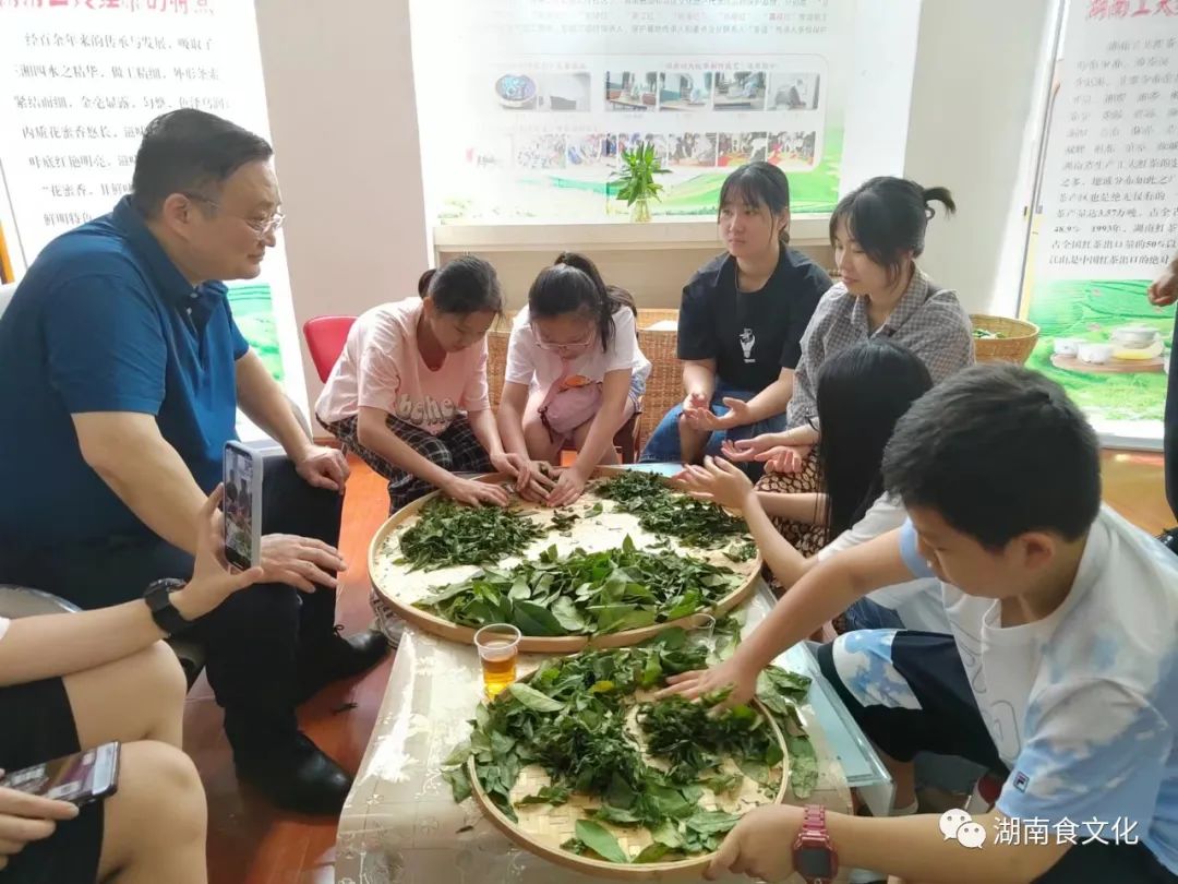 原載人民日?qǐng)?bào)“人民視點(diǎn)”茶葉是怎樣做出來(lái)的？湖南大、中、小學(xué)生體驗(yàn)湖南工夫紅茶制作